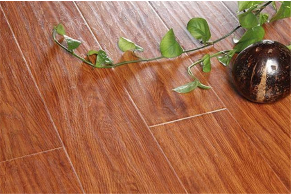 圣罗娜复合地板